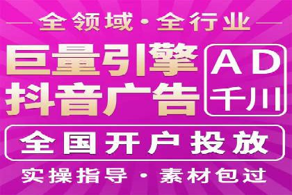 某行业领军企业的SEM广告投放策略